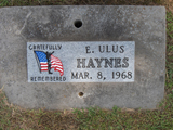 Edgar Ulus Haynes